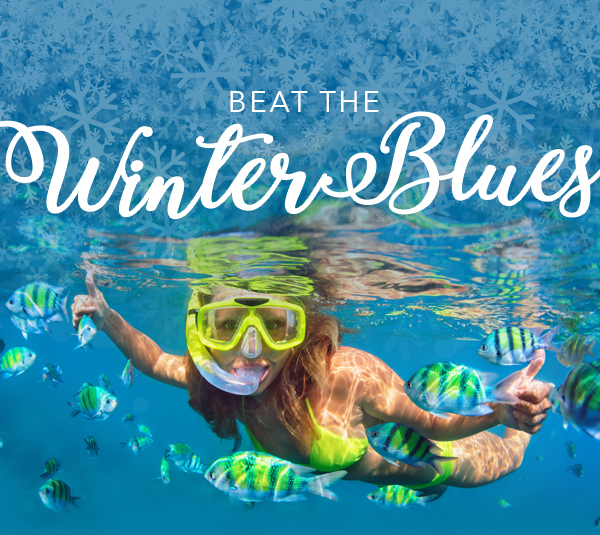 Beat the Winter Blues