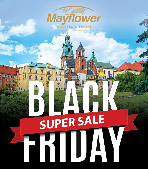 Black Friday Super Sale!