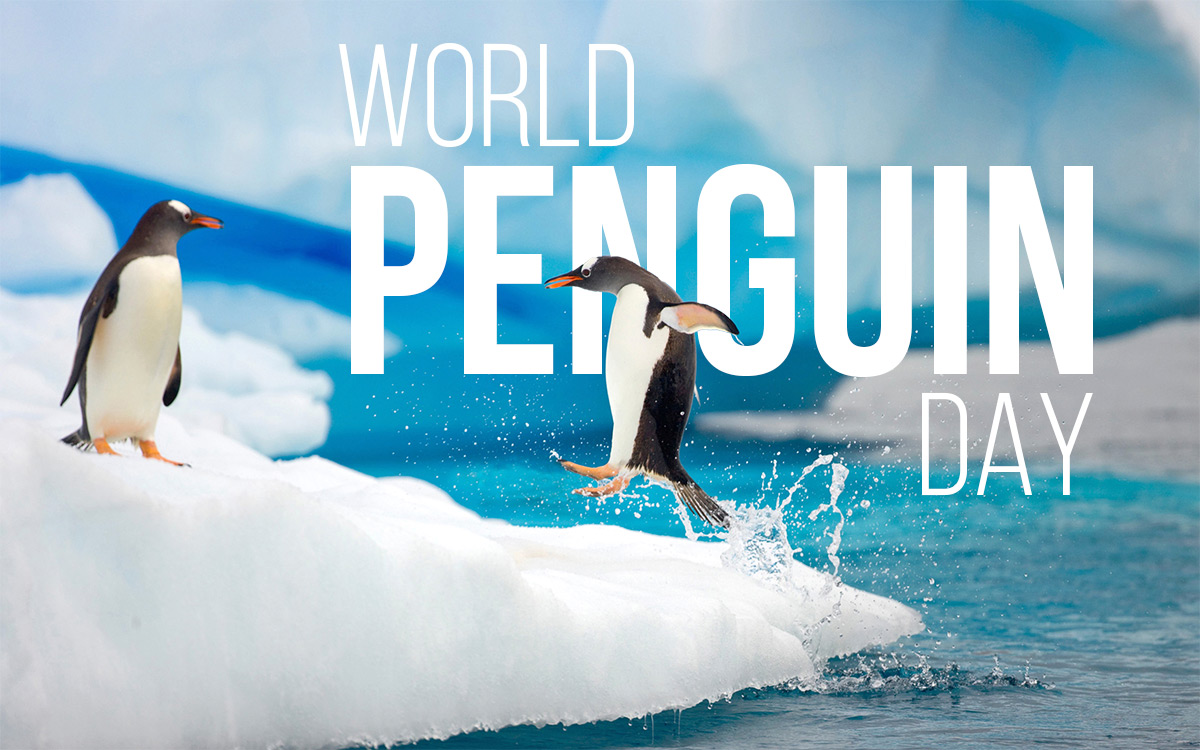 World Penguin Day