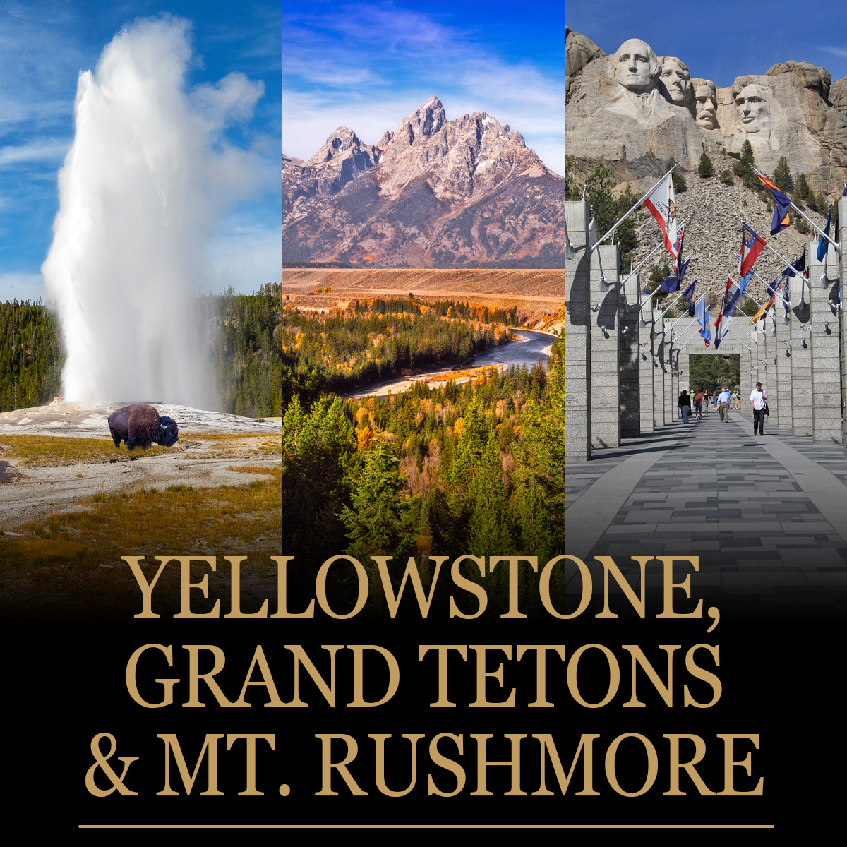 Yellowstone, Grand Tetons and Mount Rushmore