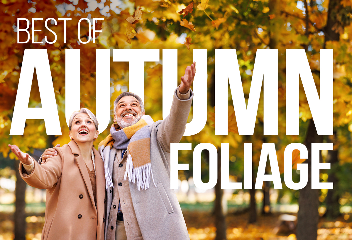 Best of Autumn Foliage