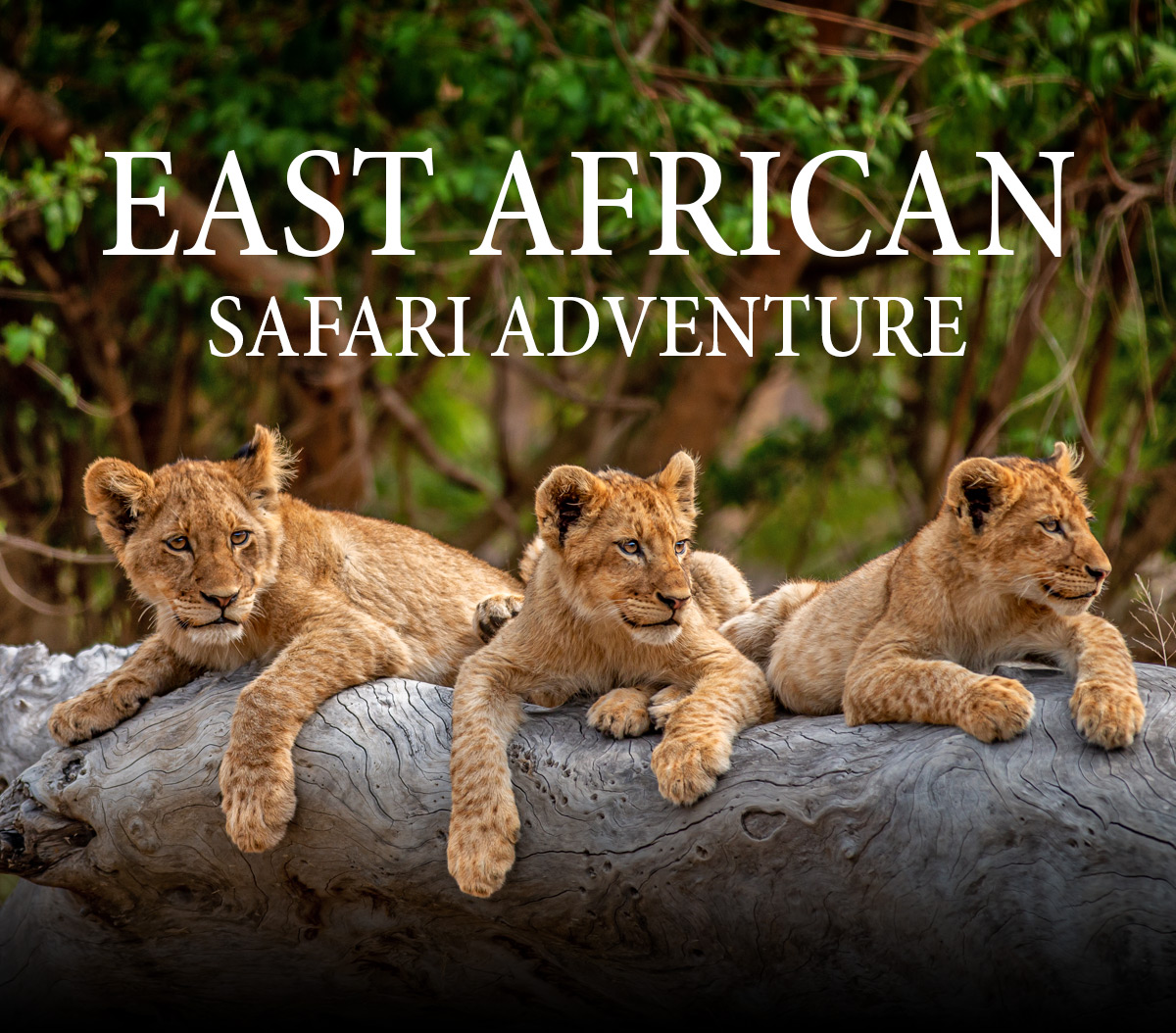 East African Safari Adventure