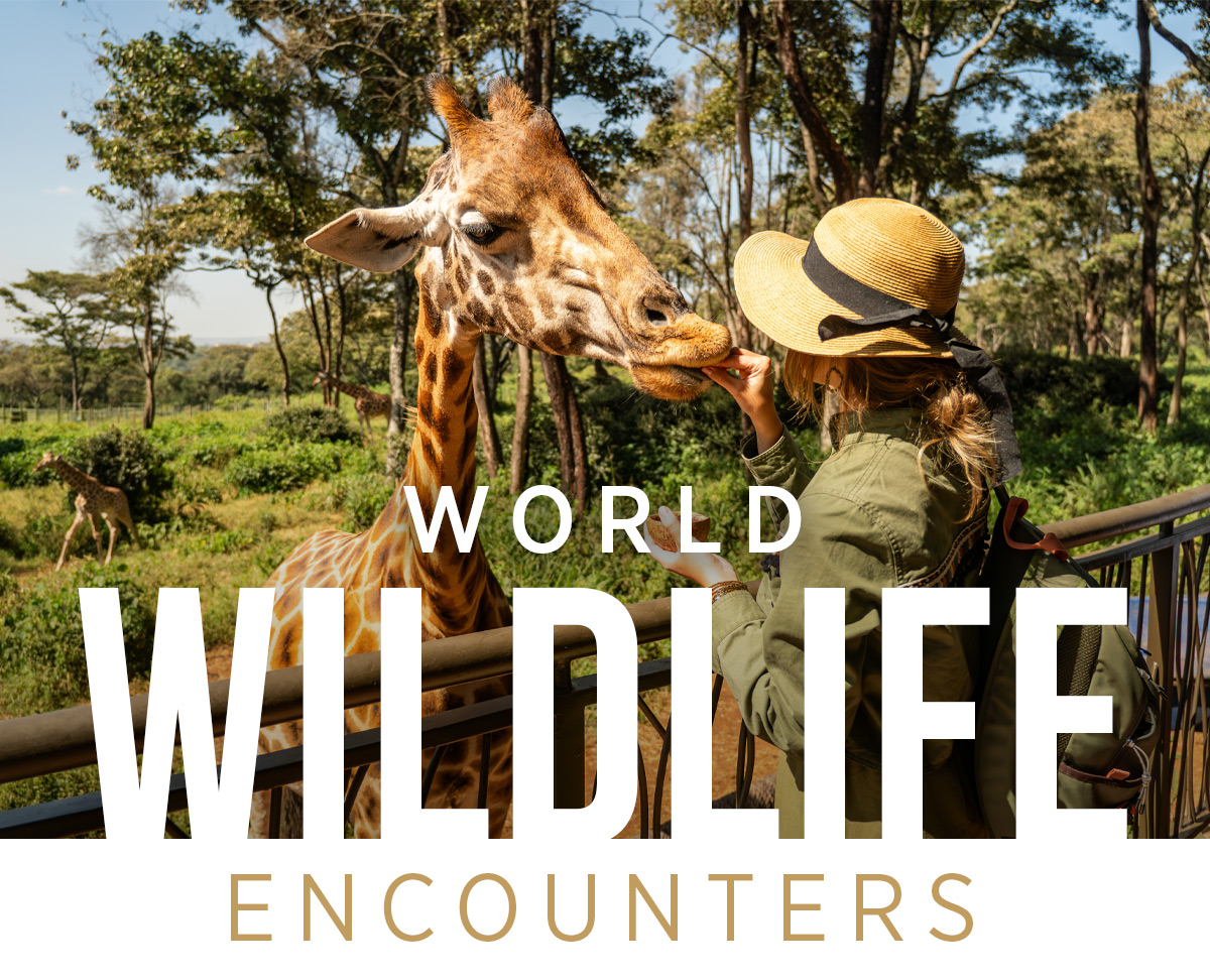 World Wildlife Encounters
