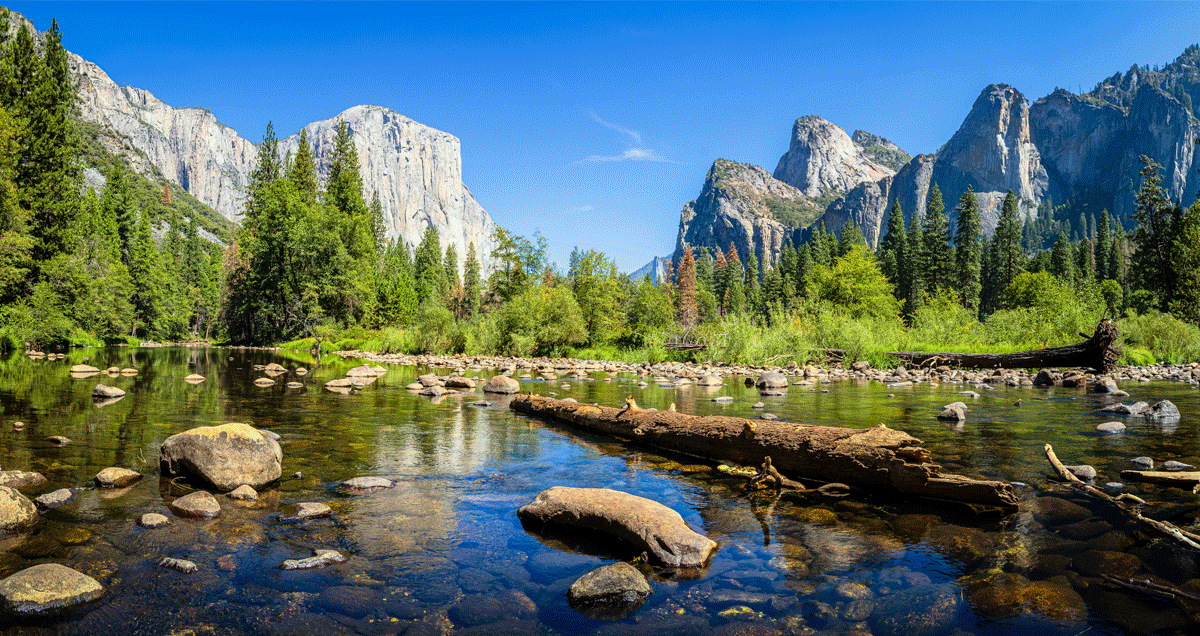 Mayflower Cruises & Tours