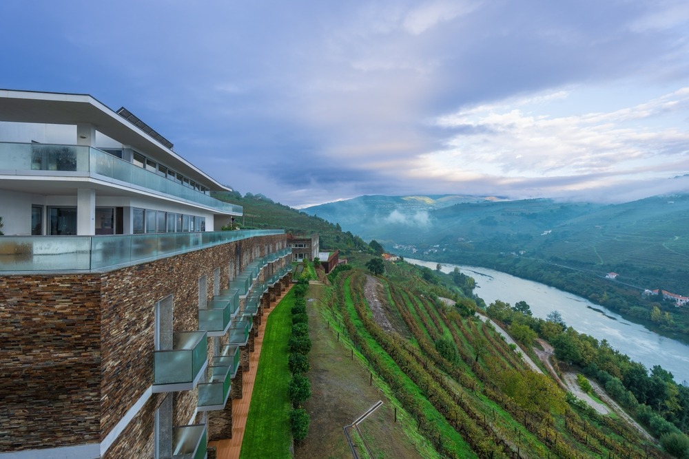 Lamego Duoro Valley Grape Vineyards