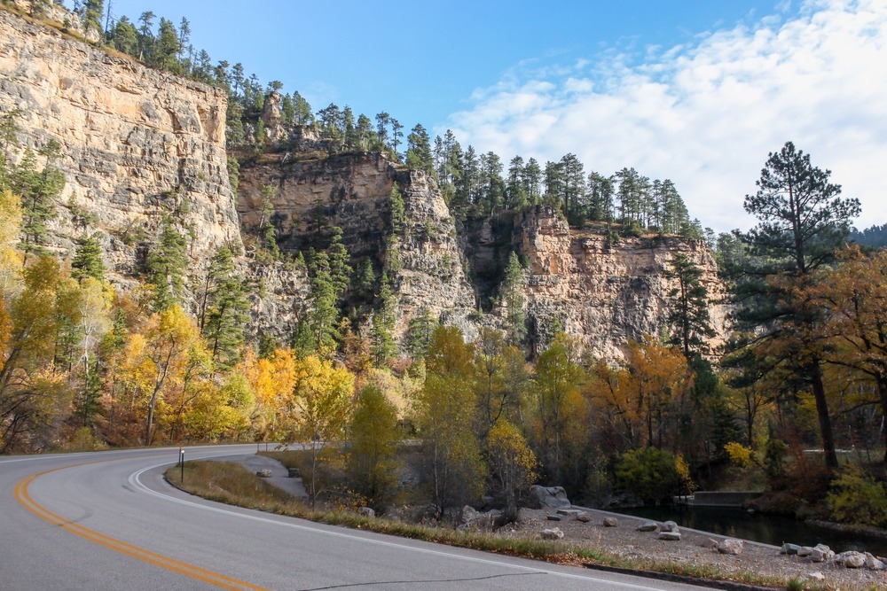 Halloween in Black Hills 