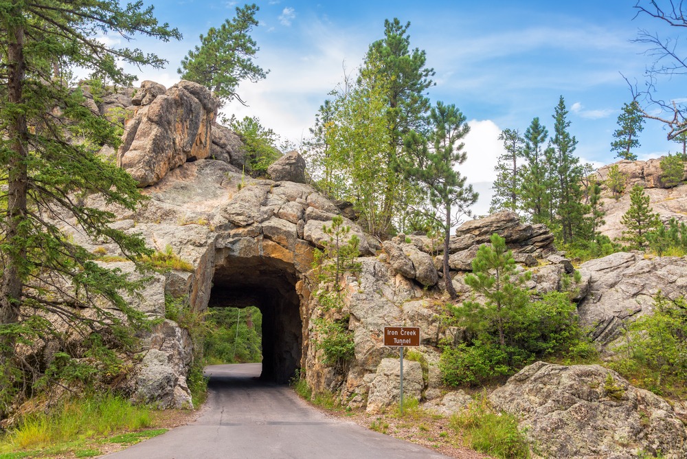 Iron Mountain Road