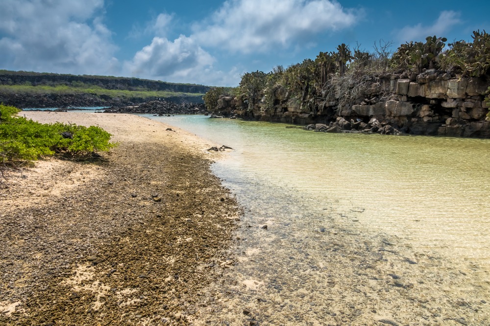 Genovesa Island