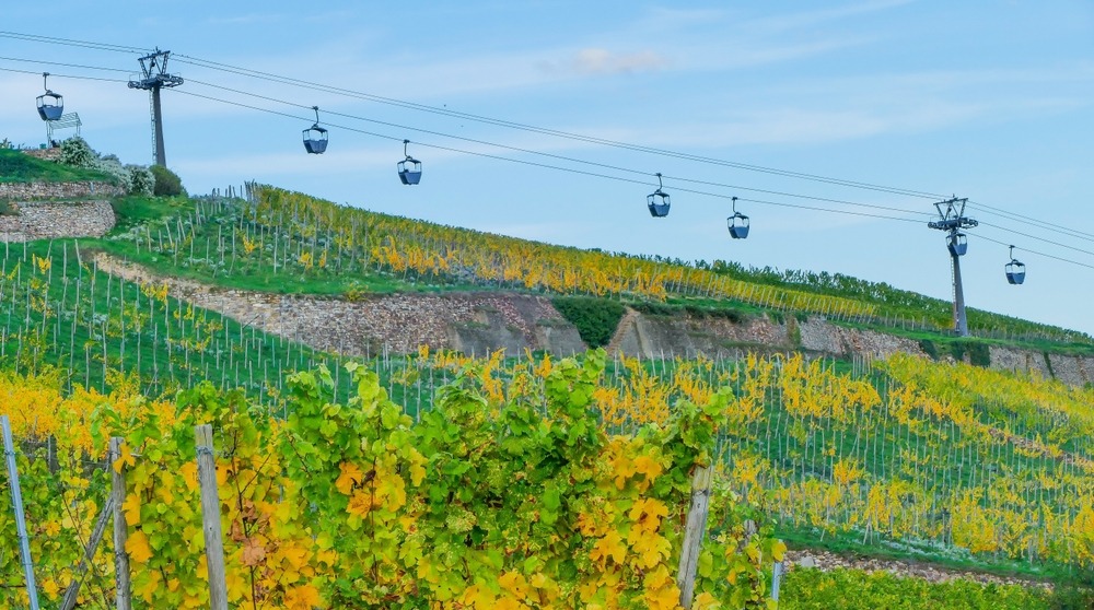 Rhine Wine Country